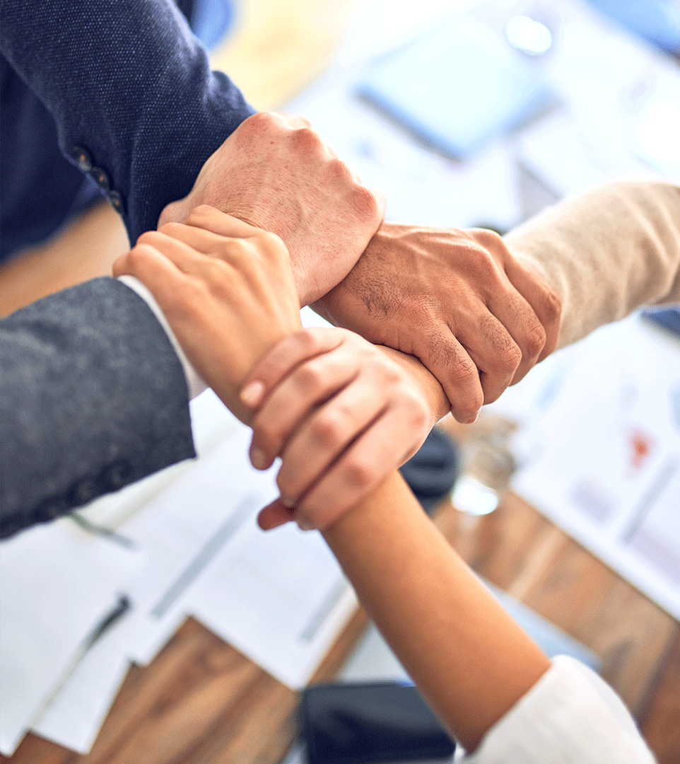 专业团队服务体系